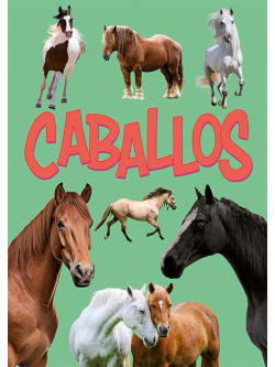 Caballos